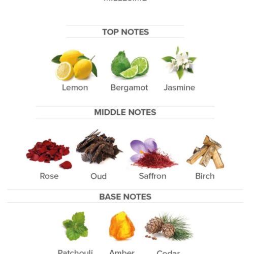 WhatsApp Image 2024-03-30 at 1.50.16 PM WhatsApp Image 2024-03-30 at 1.50.16 PM